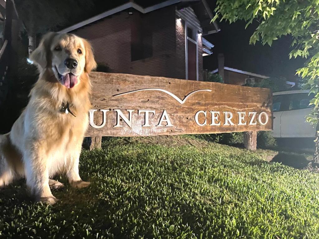 Punta Cerezo Apart การีโล ภายนอก รูปภาพ